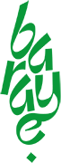 Baraye Charity logo green